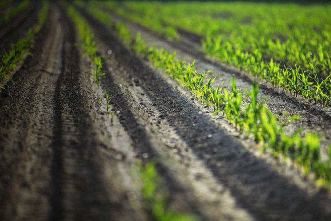 Ημερίδα για αγρότες θα γίνει στη Μεγαλόπολη