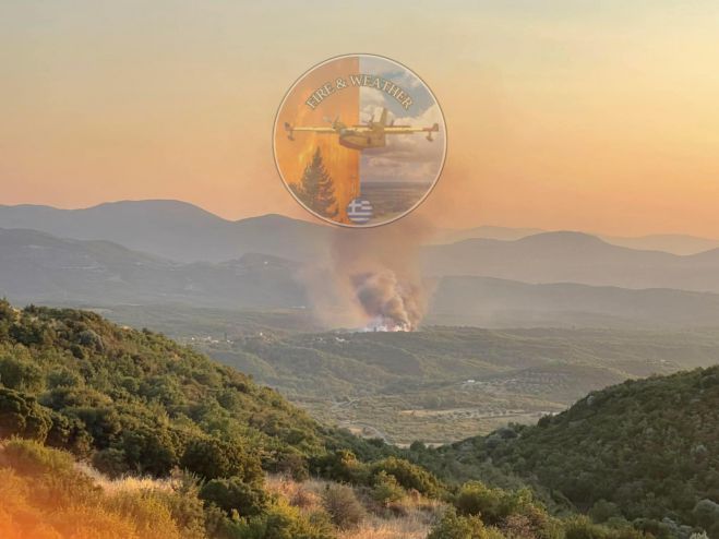 Πυρκαγιά ξέσπασε στο Ρούτσι Μεγαλόπολης (vd)
