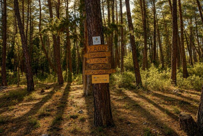 &Omicron; &Delta;ή&mu;&omicron;&sigmaf; &Tau;&rho;ί&pi;&omicron;&lambda;&eta;&sigmaf; &epsilon;&pi;&epsilon;&nu;&delta;ύ&epsilon;&iota; &sigma;&tau;&eta;&nu; &alpha;&nu;ά&delta;&epsilon;&iota;&xi;&eta; &tau;&omega;&nu; &mu;&omicron;&nu;&omicron;&pi;&alpha;&tau;&iota;ώ&nu; &tau;&omicron;&upsilon; &kappa;&alpha;&iota; &sigma;&tau;&omicron;&nu; &pi;&epsilon;&zeta;&omicron;&pi;&omicron;&rho;&iota;&kappa;ό &tau;&omicron;&upsilon;&rho;&iota;&sigma;&mu;ό