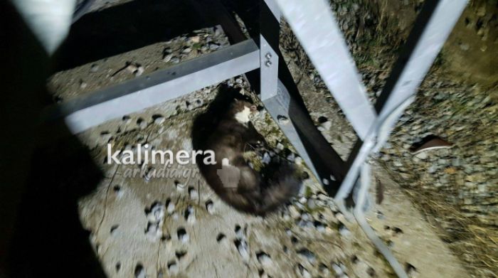 Black out &sigma;&epsilon; &pi;&epsilon;&rho;&iota;&omicron;&chi;έ&sigmaf; &tau;&eta;&sigmaf; &Tau;&rho;ί&pi;&omicron;&lambda;&eta;&sigmaf;, &Mu;&epsilon;&gamma;&alpha;&lambda;ό&pi;&omicron;&lambda;&eta;&sigmaf; &kappa;&alpha;&iota; &sigma;&epsilon; &Kappa;&alpha;&sigma;&tau;&rho;ί - &Tau;&epsilon;&gamma;έ&alpha; &alpha;&pi;ό ... &kappa;&omicron;&upsilon;&nu;ά&beta;&iota;!