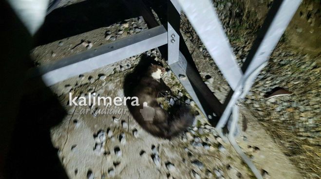 Black out &sigma;&epsilon; &pi;&epsilon;&rho;&iota;&omicron;&chi;έ&sigmaf; &tau;&eta;&sigmaf; &Tau;&rho;ί&pi;&omicron;&lambda;&eta;&sigmaf;, &Mu;&epsilon;&gamma;&alpha;&lambda;ό&pi;&omicron;&lambda;&eta;&sigmaf; &kappa;&alpha;&iota; &sigma;&epsilon; &Kappa;&alpha;&sigma;&tau;&rho;ί - &Tau;&epsilon;&gamma;έ&alpha; &alpha;&pi;ό ... &kappa;&omicron;&upsilon;&nu;ά&beta;&iota;!