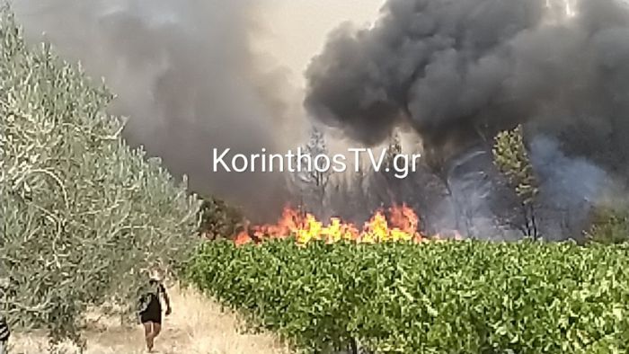 &Mu;ά&chi;&eta; &mu;&epsilon; &tau;&iota;&sigmaf; &phi;&lambda;ό&gamma;&epsilon;&sigmaf; &sigma;&tau;&omicron; &Kappa;&alpha;&lambda;έ&nu;&tau;&zeta;&iota; &Kappa;&omicron;&rho;&iota;&nu;&theta;ί&alpha;&sigmaf; &ndash; &Mu;&epsilon;&gamma;ά&lambda;&eta; &kappa;&iota;&nu;&eta;&tau;&omicron;&pi;&omicron;ί&eta;&sigma;&eta; &tau;&eta;&sigmaf; &Pi;&upsilon;&rho;&omicron;&sigma;&beta;&epsilon;&sigma;&tau;&iota;&kappa;ή&sigmaf;