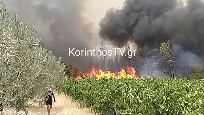 &Mu;ά&chi;&eta; &mu;&epsilon; &tau;&iota;&sigmaf; &phi;&lambda;ό&gamma;&epsilon;&sigmaf; &sigma;&tau;&omicron; &Kappa;&alpha;&lambda;έ&nu;&tau;&zeta;&iota; &Kappa;&omicron;&rho;&iota;&nu;&theta;ί&alpha;&sigmaf; &ndash; &Mu;&epsilon;&gamma;ά&lambda;&eta; &kappa;&iota;&nu;&eta;&tau;&omicron;&pi;&omicron;ί&eta;&sigma;&eta; &tau;&eta;&sigmaf; &Pi;&upsilon;&rho;&omicron;&sigma;&beta;&epsilon;&sigma;&tau;&iota;&kappa;ή&sigmaf;
