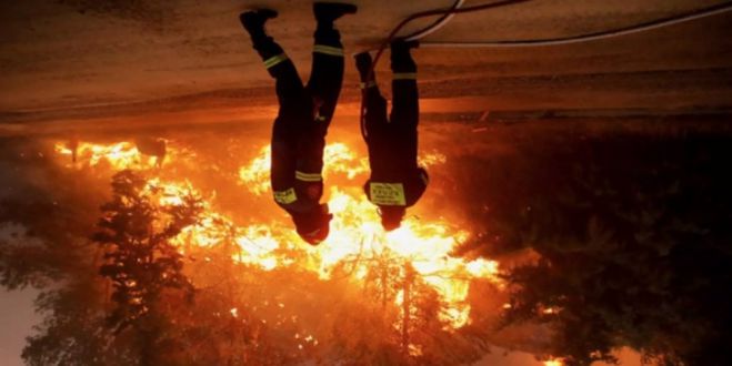 &Phi;&omega;&tau;&iota;ά &sigma;&tau;&eta;&nu; &Alpha;&lambda;&epsilon;&xi;&alpha;&nu;&delta;&rho;&omicron;ύ&pi;&omicron;&lambda;&eta; | 8 &pi;&upsilon;&rho;&omicron;&sigma;&beta;έ&sigma;&tau;&epsilon;&sigmaf; &delta;&iota;&alpha;&kappa;&omicron;&mu;ί&sigma;&theta;&eta;&kappa;&alpha;&nu; &sigma;&tau;&omicron; &Nu;&omicron;&sigma;&omicron;&kappa;&omicron;&mu;&epsilon;ί&omicron;