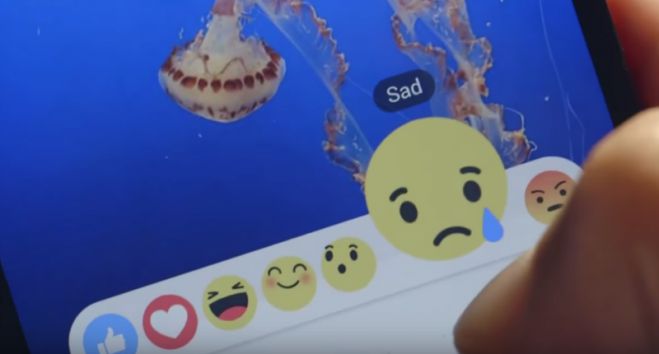 Τα νέα ... πλήκτρα του facebook! (vd)