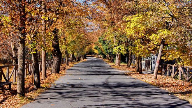 &Iota;&sigma;&tau;&omicron;&rho;&iota;&kappa;&omicron;ί - &tau;&omicron;&upsilon;&rho;&iota;&sigma;&tau;&iota;&kappa;&omicron;ί &delta;&rho;ό&mu;&omicron;&iota; &nu;&tau;&rho;&omicron;&pi;ή&sigmaf; &sigma;&tau;&eta; &Beta;&upsilon;&tau;ί&nu;&alpha; - &Upsilon;&pi;ά&rho;&chi;&epsilon;&iota; &phi;&iota;&lambda;ό&tau;&iota;&mu;&omicron;;