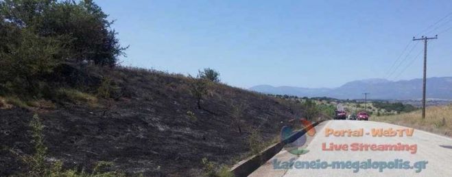 &Sigma;&beta;ή&sigma;&tau;&eta;&kappa;&epsilon; έ&gamma;&kappa;&alpha;&iota;&rho;&alpha; &phi;&omega;&tau;&iota;ά &sigma;&tau;&omicron;&nu; &Tau;&rho;&iota;&pi;ό&tau;&alpha;&mu;&omicron; &Mu;&epsilon;&gamma;&alpha;&lambda;ό&pi;&omicron;&lambda;&eta;&sigmaf;