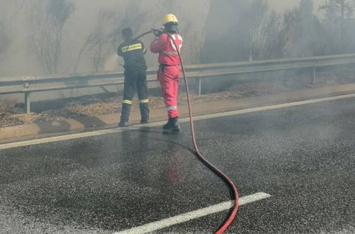 &Sigma;&tau;&alpha; &pi;ύ&rho;&iota;&nu;&alpha; &mu;έ&tau;&omega;&pi;&alpha; &tau;&eta;&sigmaf; &Alpha;&rho;&kappa;&alpha;&delta;ί&alpha;&sigmaf; &omicron;&iota; &epsilon;&theta;&epsilon;&lambda;&omicron;&nu;&tau;έ&sigmaf; &Sigma;&alpha;&mu;&alpha;&rho;&epsilon;ί&tau;&epsilon;&sigmaf; &tau;&omicron;&upsilon; &Epsilon;&rho;&upsilon;&theta;&rho;&omicron;ύ &Sigma;&tau;&alpha;&upsilon;&rho;&omicron;ύ - &Sigma;&upsilon;&gamma;&kappa;έ&nu;&tau;&rho;&omega;&sigma;&eta; &beta;&omicron;ή&theta;&epsilon;&iota;&alpha;&sigmaf; &gamma;&iota;&alpha; &tau;&omicron;&upsilon;&sigmaf; &pi;&upsilon;&rho;ό&pi;&lambda;&eta;&kappa;&tau;&omicron;&upsilon;&sigmaf; (vd)