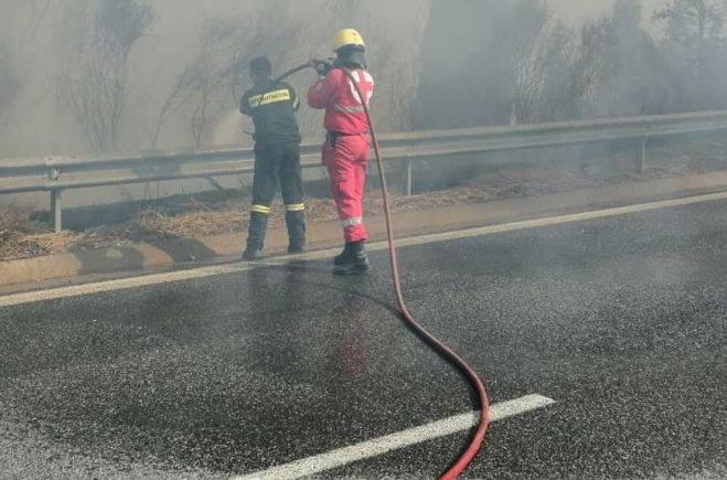 &Sigma;&tau;&alpha; &pi;ύ&rho;&iota;&nu;&alpha; &mu;έ&tau;&omega;&pi;&alpha; &tau;&eta;&sigmaf; &Alpha;&rho;&kappa;&alpha;&delta;ί&alpha;&sigmaf; &omicron;&iota; &epsilon;&theta;&epsilon;&lambda;&omicron;&nu;&tau;έ&sigmaf; &Sigma;&alpha;&mu;&alpha;&rho;&epsilon;ί&tau;&epsilon;&sigmaf; &tau;&omicron;&upsilon; &Epsilon;&rho;&upsilon;&theta;&rho;&omicron;ύ &Sigma;&tau;&alpha;&upsilon;&rho;&omicron;ύ - &Sigma;&upsilon;&gamma;&kappa;έ&nu;&tau;&rho;&omega;&sigma;&eta; &beta;&omicron;ή&theta;&epsilon;&iota;&alpha;&sigmaf; &gamma;&iota;&alpha; &tau;&omicron;&upsilon;&sigmaf; &pi;&upsilon;&rho;ό&pi;&lambda;&eta;&kappa;&tau;&omicron;&upsilon;&sigmaf; (vd)