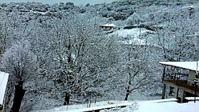 Πανέμορφη η χιονισμένη Μυγδαλιά στη Γορτυνία! (εικόνες)