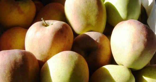 Ανακαλύπτοντας ισχυρισμούς υγείας στα Μήλα Τριπόλεως