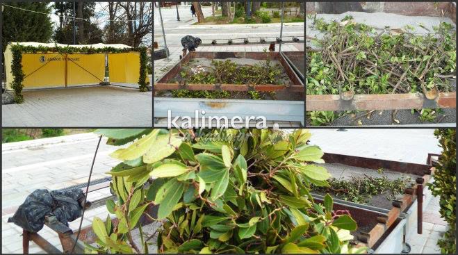 &Omicron;&iota; &pi;&rho;ώ&tau;&epsilon;&sigmaf; &psi;&eta;&sigma;&tau;&alpha;&rho;&iota;έ&sigmaf; &sigma;&tau;&eta;&nu; &Pi;&lambda;&alpha;&tau;&epsilon;ί&alpha; Ά&rho;&epsilon;&omega;&sigmaf;! (&epsilon;&iota;&kappa;ό&nu;&epsilon;&sigmaf;)