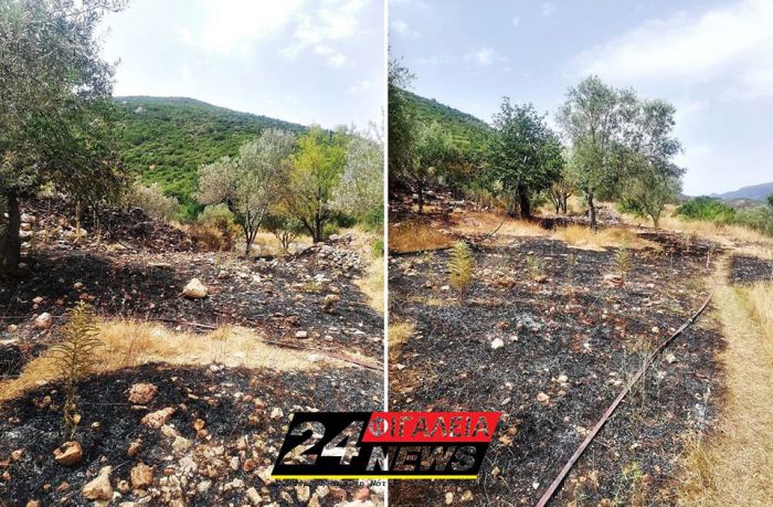 &Pi;&upsilon;&rho;&kappa;&alpha;&gamma;&iota;ά &sigma;&epsilon; &chi;&omicron;&rho;&tau;&omicron;&lambda;&iota;&beta;&alpha;&delta;&iota;&kappa;ή έ&kappa;&tau;&alpha;&sigma;&eta; &alpha;&nu;&eta;&sigma;ύ&chi;&eta;&sigma;&epsilon; &tau;&eta;&nu; &pi;&upsilon;&rho;&omicron;&sigma;&beta;&epsilon;&sigma;&tau;&iota;&kappa;ή &sigma;&epsilon; &Alpha;&rho;&kappa;&alpha;&delta;ί&alpha; &kappa;&alpha;&iota; &Eta;&lambda;&epsilon;ί&alpha;