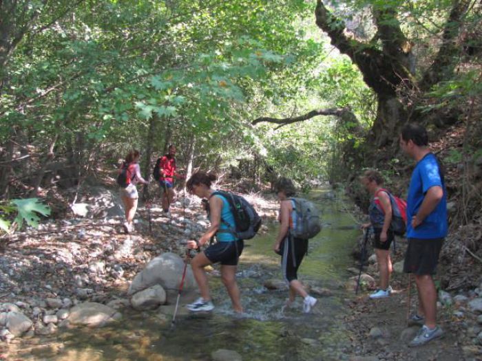 &Epsilon;&Omicron;&Sigma; - &Gamma;&iota;&alpha;&tau;ί &delta;&epsilon;&nu; &theta;&alpha; &gamma;ί&nu;&epsilon;&iota; &eta; &epsilon;&xi;ό&rho;&mu;&eta;&sigma;&eta; &sigma;&tau;&omicron; &phi;&alpha;&rho;ά&gamma;&gamma;&iota; &tau;&omicron;&upsilon; &Alpha;&sigma;&omega;&pi;&omicron;ύ!