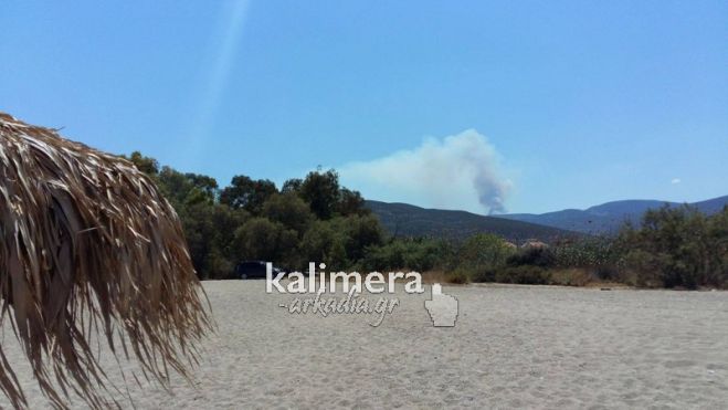 Φωτιά ξέσπασε στον Αγιάννη Κυνουρίας (εικόνες)