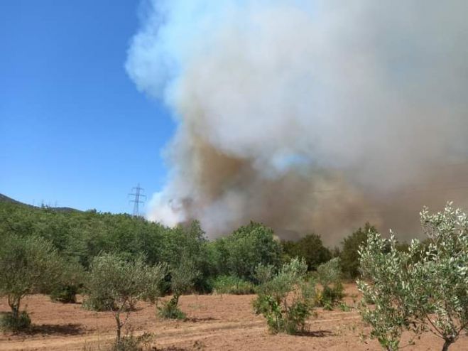 &Sigma;&epsilon; &kappa;&alpha;&tau;&eta;&gamma;&omicron;&rho;ί&alpha; &kappa;&iota;&nu;&delta;ύ&nu;&omicron;&upsilon; 4 &gamma;&iota;&alpha; &pi;&upsilon;&rho;&kappa;&alpha;&gamma;&iota;ά &pi;&alpha;&rho;&alpha;&mu;έ&nu;&epsilon;&iota; &mu;&epsilon;&gamma;ά&lambda;&omicron; &tau;&mu;ή&mu;&alpha; &tau;&eta;&sigmaf; &Alpha;&rho;&kappa;&alpha;&delta;ί&alpha;&sigmaf;