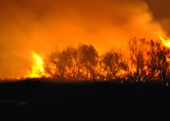 &Kappa;&alpha;&tau;&alpha;&sigma;&tau;&rho;&omicron;&phi;&iota;&kappa;ή &pi;&upsilon;&rho;&kappa;&alpha;&gamma;&iota;ά &sigma;&epsilon; &epsilon;&rho;&gamma;&omicron;&sigma;&tau;ά&sigma;&iota;&omicron; &alpha;&nu;&alpha;&kappa;ύ&kappa;&lambda;&omega;&sigma;&eta;&sigmaf;!