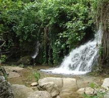 &Sigma;&tau;&eta; &Sigma;ί&tau;&alpha;&iota;&nu;&alpha; &theta;&alpha; &gamma;ί&nu;&epsilon;&iota; &eta; &laquo;&Gamma;&iota;&omicron;&rho;&tau;ή &tau;&omega;&nu; &phi;&alpha;&rho;&alpha;&gamma;&gamma;&iota;ώ&nu; &tau;&omicron;&upsilon; &Beta;&rho;&alpha;&sigma;&iota;ά&tau;&eta;&raquo;