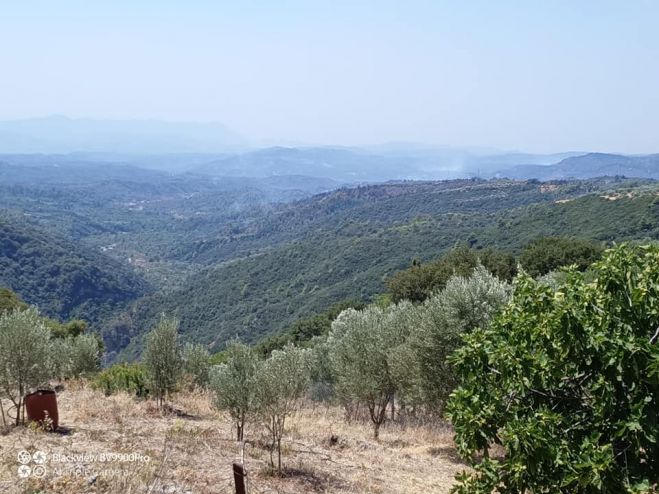 Γορτυνία - φωτιές | Ρίψεις νερού στο μέτωπο έξω από το Καλλιάνι (vd)