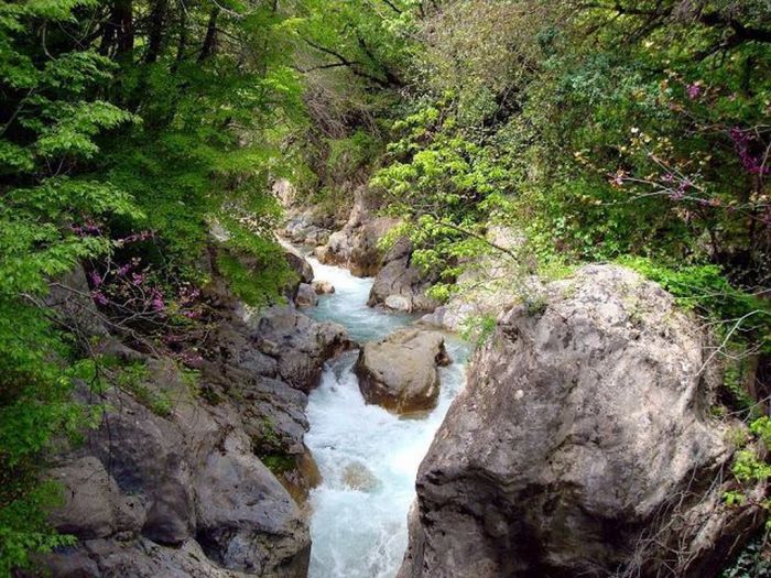 Ελάτε να περπατήσουμε στο φαράγγι του Λούσιου!