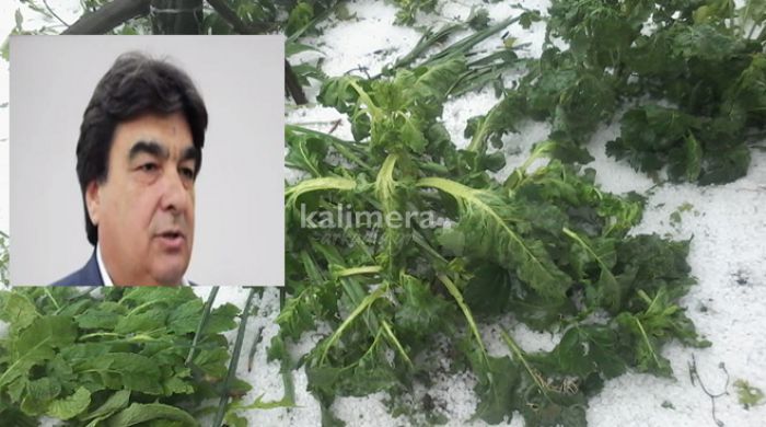 &Mu;&epsilon;&gamma;ά&lambda;&epsilon;&sigmaf; &zeta;&eta;&mu;&iota;έ&sigmaf; &sigma;&epsilon; &kappa;&alpha;&lambda;&lambda;&iota;έ&rho;&gamma;&epsilon;&iota;&epsilon;&sigmaf; &pi;&rho;&omicron;&kappa;ά&lambda;&epsilon;&sigma;&epsilon; &eta; &nu;έ&alpha; &chi;&alpha;&lambda;&alpha;&zeta;ό&pi;&tau;&omega;&sigma;&eta; &sigma;&tau;&eta;&nu; &Alpha;&rho;&kappa;&alpha;&delta;ί&alpha; (vd)