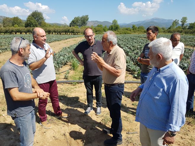 Πρόεδρος ΕΛΓΑ σε αγρότες: &quot;Δεν θα αδικηθεί κανείς. Θα αποζημιωθείτε άμεσα&quot;