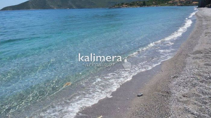 Παραλίες στην Κυνουρία | Νέοι έλεγχοι δείχνουν ότι τα νερά κολύμβησης είναι «εξαιρετικής ποιότητας»!