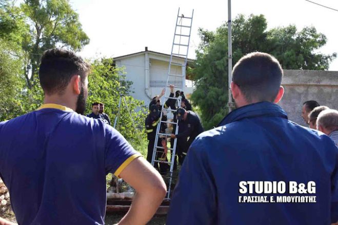 &Nu;&epsilon;&kappa;&rho;ό&sigmaf; ά&nu;&delta;&rho;&alpha;&sigmaf; &alpha;&nu;&alpha;&sigma;ύ&rho;&theta;&eta;&kappa;&epsilon; &alpha;&pi;ό &pi;&eta;&gamma;ά&delta;&iota; &sigma;&tau;&eta;&nu; &Epsilon;&rho;&mu;&iota;ό&nu;&eta;