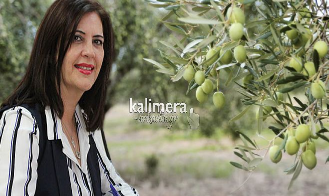 &Tau;&eta; &sigma;&tau;ή&rho;&iota;&xi;&eta; &tau;&omega;&nu; &pi;&lambda;&eta;&gamma;έ&nu;&tau;&omega;&nu; &epsilon;&lambda;&alpha;&iota;&omicron;&pi;&alpha;&rho;&alpha;&gamma;&omega;&gamma;ώ&nu; &tau;&eta;&sigmaf; &Pi;&epsilon;&lambda;&omicron;&pi;&omicron;&nu;&nu;ή&sigma;&omicron;&upsilon; &zeta;&eta;&tau;ά &eta; &Nu;&iota;&kappa;&omicron;&lambda;ά&kappa;&omicron;&upsilon;