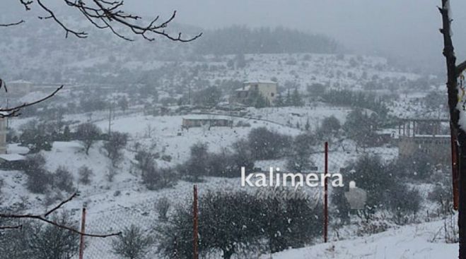 Καιρός | Για «λευκά» Χριστούγεννα με πολύ κρύο μιλά ο Καλλιάνος