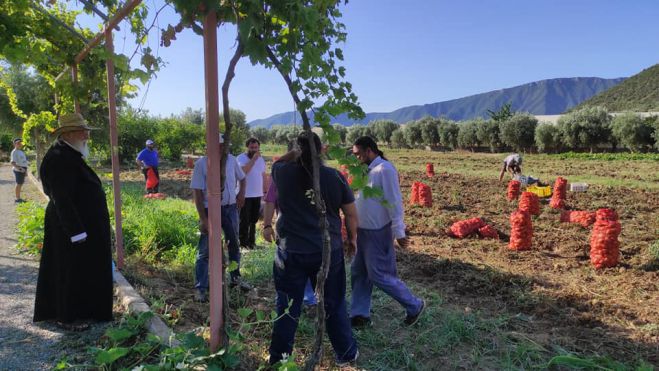 &Lambda;&epsilon;&omega;&nu;ί&delta;&iota;&omicron; | &Pi;&rho;ώ&tau;&omicron;&sigmaf; &sigma;&tau;&eta; &sigma;&upsilon;&gamma;&kappa;&omicron;&mu;&iota;&delta;ή &pi;&alpha;&tau;ά&tau;&alpha;&sigmaf; &omicron; &Mu;&eta;&tau;&rho;&omicron;&pi;&omicron;&lambda;ί&tau;&eta;&sigmaf; &Alpha;&lambda;έ&xi;&alpha;&nu;&delta;&rho;&omicron;&sigmaf;! (&epsilon;&iota;&kappa;ό&nu;&epsilon;&sigmaf;)
