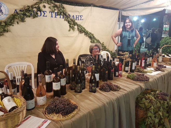Μεγάλη συμμετοχή στη «Γιορτή Κρασιού και Τρύγου» στο Ζευγολατιό (εικόνες - βίντεο)