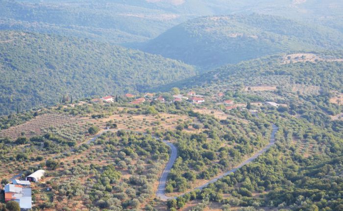 &Alpha;&gamma;ά&lambda;&omega; &Gamma;&omicron;&rho;&tau;&upsilon;&nu;ί&alpha;&sigmaf; - &Alpha;&nu;&alpha;&beta;&omicron;&lambda;ή &epsilon;&kappa;&delta;&eta;&lambda;ώ&sigma;&epsilon;&omega;&nu; &lambda;ό&gamma;&omega; &pi;έ&nu;&theta;&omicron;&upsilon;&sigmaf;