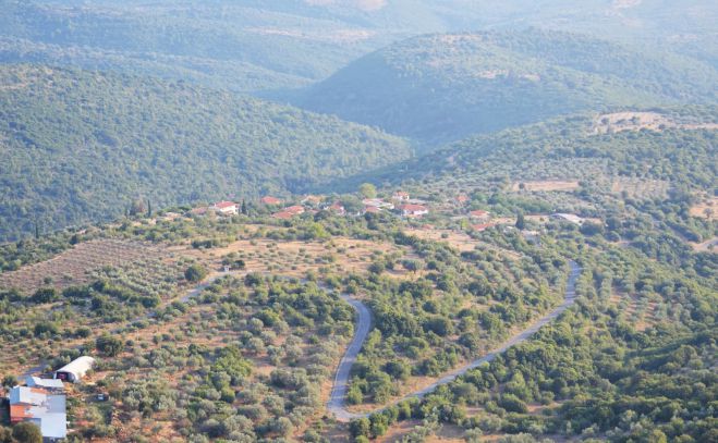 &Alpha;&gamma;ά&lambda;&omega; &Gamma;&omicron;&rho;&tau;&upsilon;&nu;ί&alpha;&sigmaf; - &Alpha;&nu;&alpha;&beta;&omicron;&lambda;ή &epsilon;&kappa;&delta;&eta;&lambda;ώ&sigma;&epsilon;&omega;&nu; &lambda;ό&gamma;&omega; &pi;έ&nu;&theta;&omicron;&upsilon;&sigmaf;