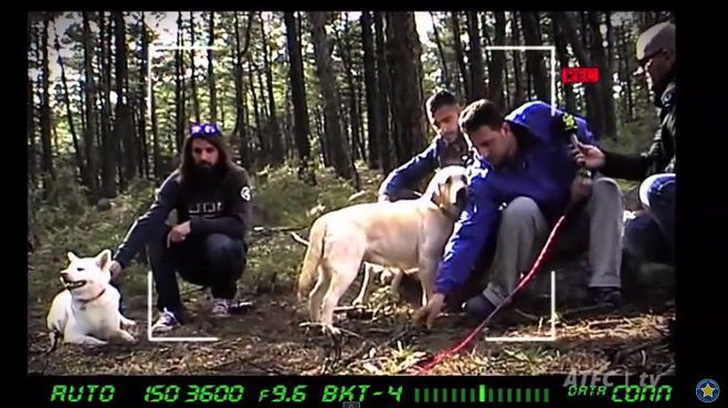 &Delta;ύ&omicron; &sigma;&kappa;&upsilon;&lambda;ί&tau;&sigma;&epsilon;&sigmaf; ... &phi;&alpha;&nu;&alpha;&tau;&iota;&kappa;έ&sigmaf; &Alpha;&sigma;&tau;&epsilon;&rho;&iota;&alpha;&nu;έ&sigmaf; (vd)!