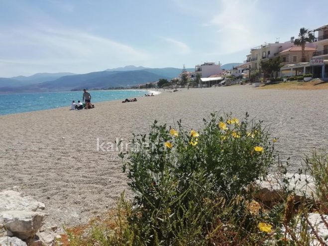 &Pi;&alpha;&rho;ά&lambda;&iota;&omicron; Ά&sigma;&tau;&rho;&omicron;&sigmaf; | Ά&rho;&chi;&iota;&sigma;&alpha;&nu; &tau;&alpha; &pi;&rho;ώ&tau;&alpha; &mu;&pi;ά&nu;&iota;&alpha; &kappa;&alpha;&iota; &omicron;&iota; &beta;ό&lambda;&tau;&epsilon;&sigmaf; &mu;&epsilon; &kappa;&alpha;&phi;έ &kappa;&alpha;&iota; &pi;&alpha;&gamma;&omega;&tau;ό &sigma;&tau;&omicron; &chi;έ&rho;&iota;! (vd)