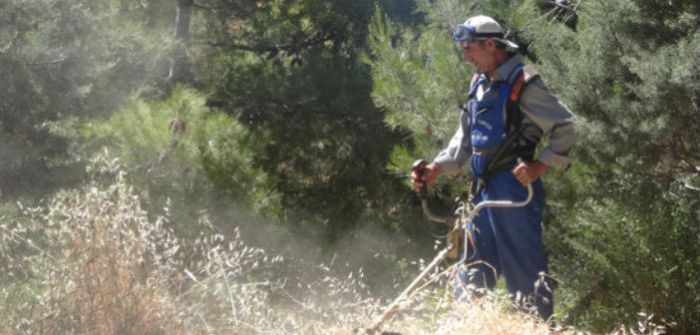 Δύο θέσεις εργασίας για πυρασφάλεια στη Νότια Κυνουρία