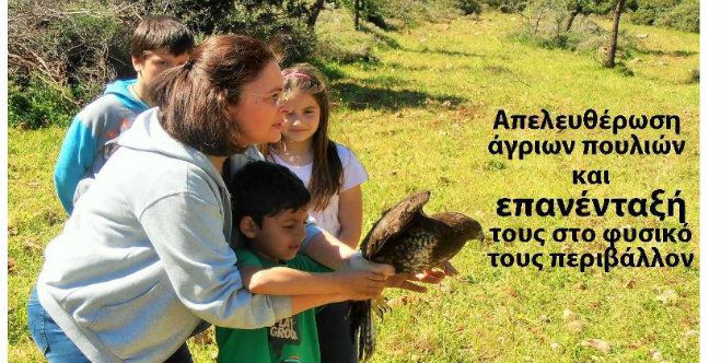 Απελευθέρωση άγριων πουλιών στο Γεράκι