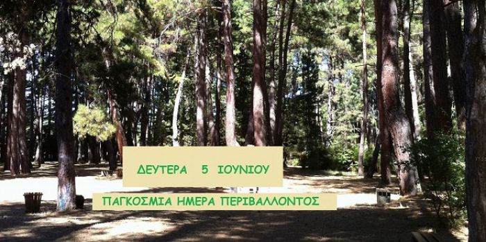 Παγκόσμια Ημέρα Περιβάλλοντος στο δασάκι της Βυτίνας!