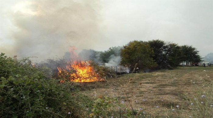 Υπό πλήρη έλεγχο η φωτιά που ξέσπασε στο Ελαιοχώρι