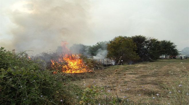 Υπό πλήρη έλεγχο η φωτιά που ξέσπασε στο Ελαιοχώρι