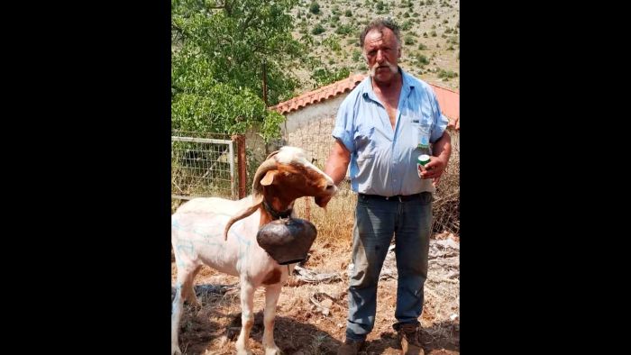 Πένθος και θλίψη στο Βαλτέτσι