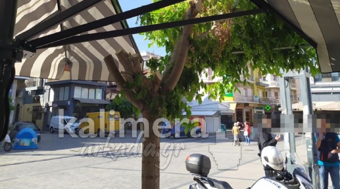 Πετρινού | Κινητοποίηση για τα κομμένα κλαδιά ενός δένδρου στην πλατεία (εικόνες)