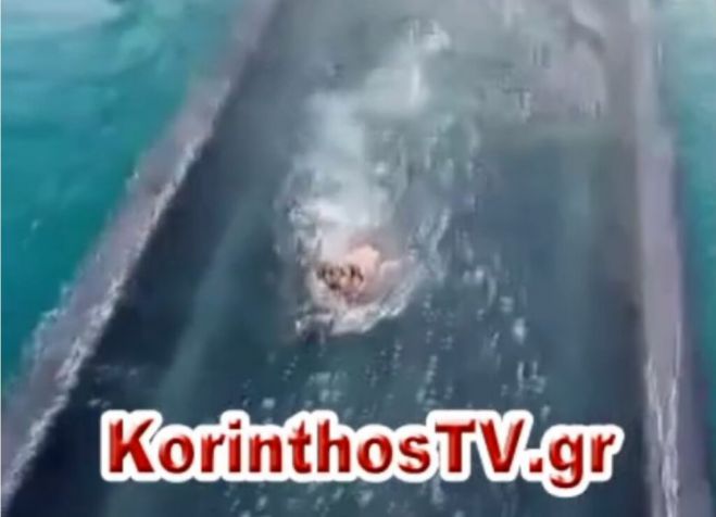 &Kappa;ό&rho;&iota;&nu;&theta;&omicron;&sigmaf; | &Sigma;&kappa;&upsilon;&lambda;ά&kappa;&iota; &pi;&rho;&omicron;&sigma;&pi;&alpha;&theta;&epsilon;ί &nu;&alpha; &sigma;&omega;&theta;&epsilon;ί &epsilon;&nu;ώ &kappa;&alpha;&tau;&epsilon;&beta;&alpha;ί&nu;&epsilon;&iota; &eta; &beta;&upsilon;&theta;&iota;&zeta;ό&mu;&epsilon;&nu;&eta; &gamma;έ&phi;&upsilon;&rho;&alpha;