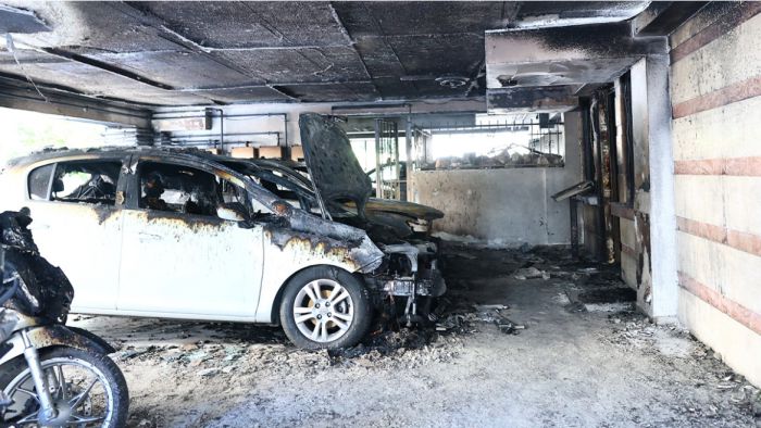 &Kappa;&omicron;&iota;&nu;ή &delta;ή&lambda;&omega;&sigma;&eta; &alpha;&pi;ό &tau;&omicron;&upsilon;&sigmaf; &Pi;&rho;&omicron;έ&delta;&rho;&omicron;&upsilon;&sigmaf; &Delta;.&Epsilon;.&Epsilon;.&Pi;. &tau;&eta;&sigmaf; &Nu;έ&alpha;&sigmaf; &Delta;&eta;&mu;&omicron;&kappa;&rho;&alpha;&tau;ί&alpha;&sigmaf;: "&Alpha;&phi;&rho;&omicron;&delta;ί&tau;&eta;, &Zeta;ή&sigma;&eta;, &Sigma;ά&beta;&beta;&alpha; &epsilon;ί&mu;&alpha;&sigma;&tau;&epsilon; &sigma;&tau;&omicron; &pi;&lambda;&epsilon;&upsilon;&rho;ό &sigma;&alpha;&sigmaf; &alpha;&upsilon;&tau;έ&sigmaf; &tau;&iota;&sigmaf; &delta;ύ&sigma;&kappa;&omicron;&lambda;&epsilon;&sigmaf; ώ&rho;&epsilon;&sigmaf;"