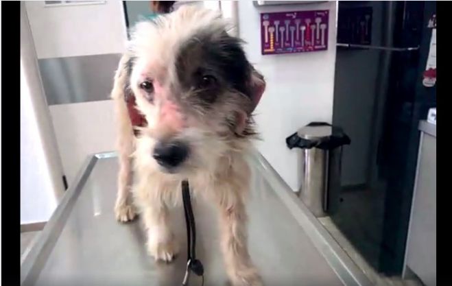 &Alpha;&upsilon;&tau;ό &tau;&omicron; &alpha;&delta;έ&sigma;&pi;&omicron;&tau;&omicron; &beta;&rho;έ&theta;&eta;&kappa;&epsilon; &sigma;&tau;&eta; &Beta;&upsilon;&tau;ί&nu;&alpha; &kappa;&alpha;&iota; &chi;&rho;&epsilon;&iota;ά&zeta;&epsilon;&tau;&alpha;&iota; &tau;&eta; &beta;&omicron;ή&theta;&epsilon;&iota;ά &mu;&alpha;&sigmaf;! (vd)