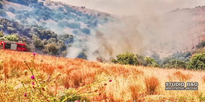 Πυρκαγιά ξέσπασε στο Άργος (εικόνες)