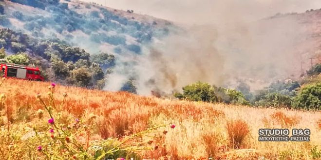 Πυρκαγιά ξέσπασε στο Άργος (εικόνες)