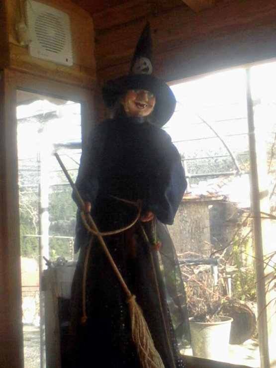 &Alpha;&pi;&omicron;&kappa;&rho;&iota;ά&tau;&iota;&kappa;&alpha; &sigma;&tau;&omicron;&lambda;ί&sigma;&tau;&eta;&kappa;&epsilon; &kappa;&alpha;&iota; &tau;&omicron; &Rho;&omicron;&epsilon;&iota;&nu;ό!