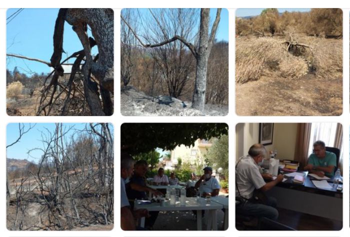 Πετράκος: &quot;Χωρίς την αυτοθυσία όλων των παιδιών στα χωριά, θα είχαν καεί ακόμη και οι πέτρες&quot;